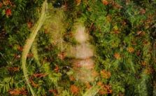 Multiple Exposures with Nature by Christoffer Relander