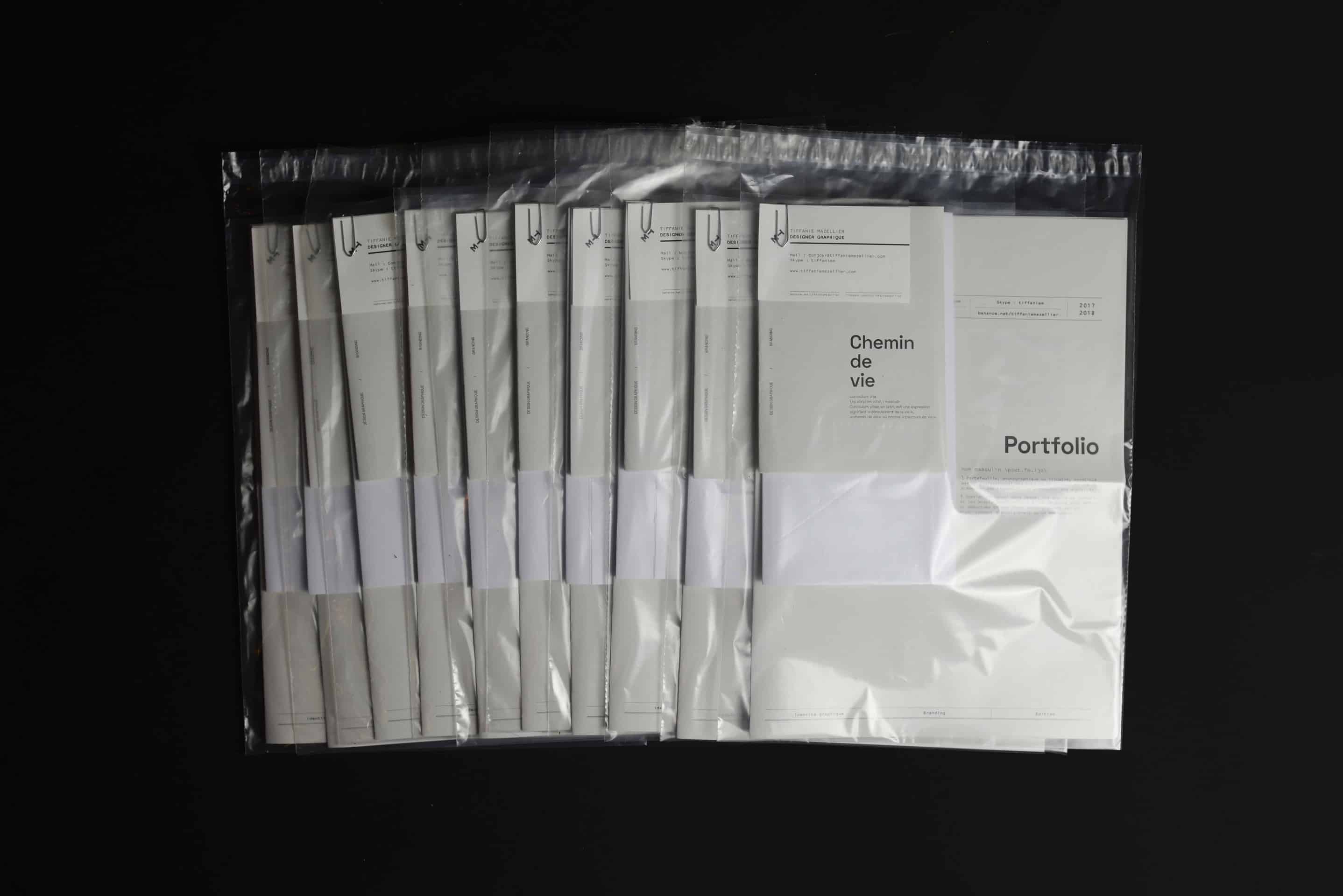 cv portfolio design ideas
