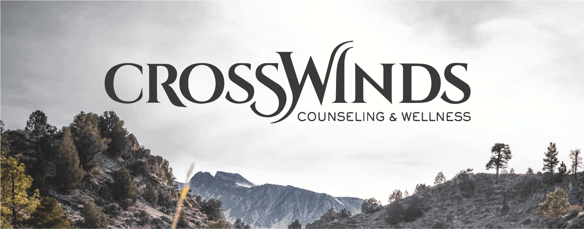 CrossWinds Webpage Concept